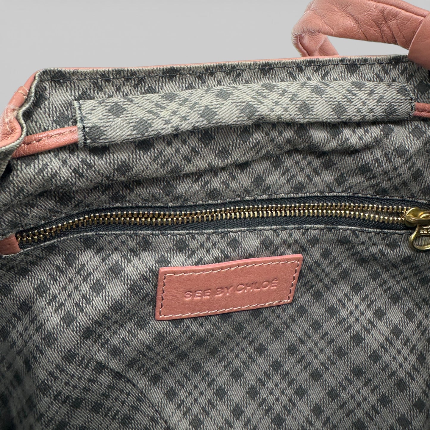 Vintage See by Chloé Pink Leather Crossbody Bag