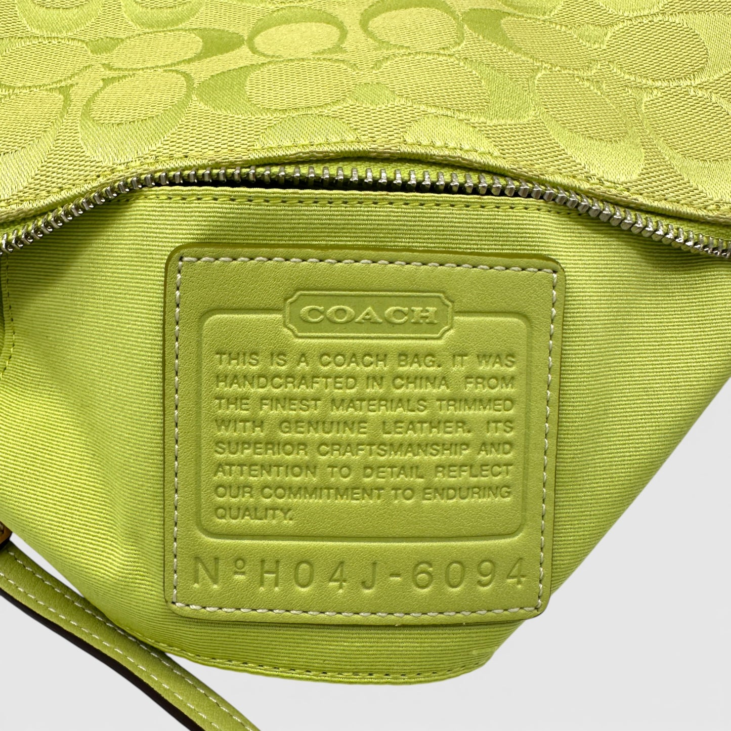 Vintage Coach 6094 Demi Shoulder Bag